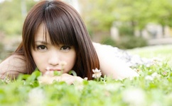 天涯赤子心歌曲